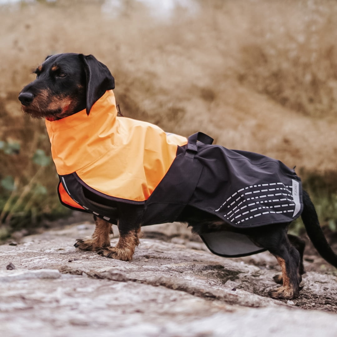 Fjord Raincoat – Capa de Chuva para Cães | Non-stop dogwear