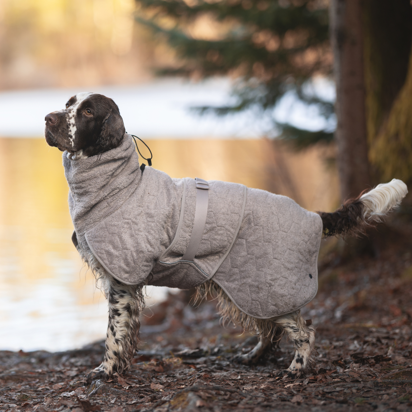 Drying coat – Roupão Secante para Cães | Non-stop dogwear
