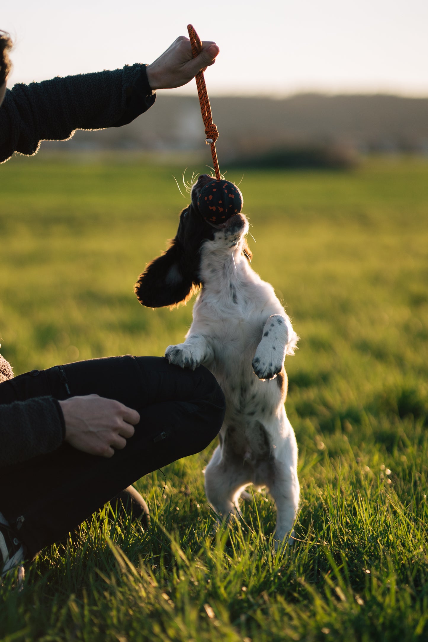 Brinquedo para Cães Bola com Corda | Non-stop dogwear