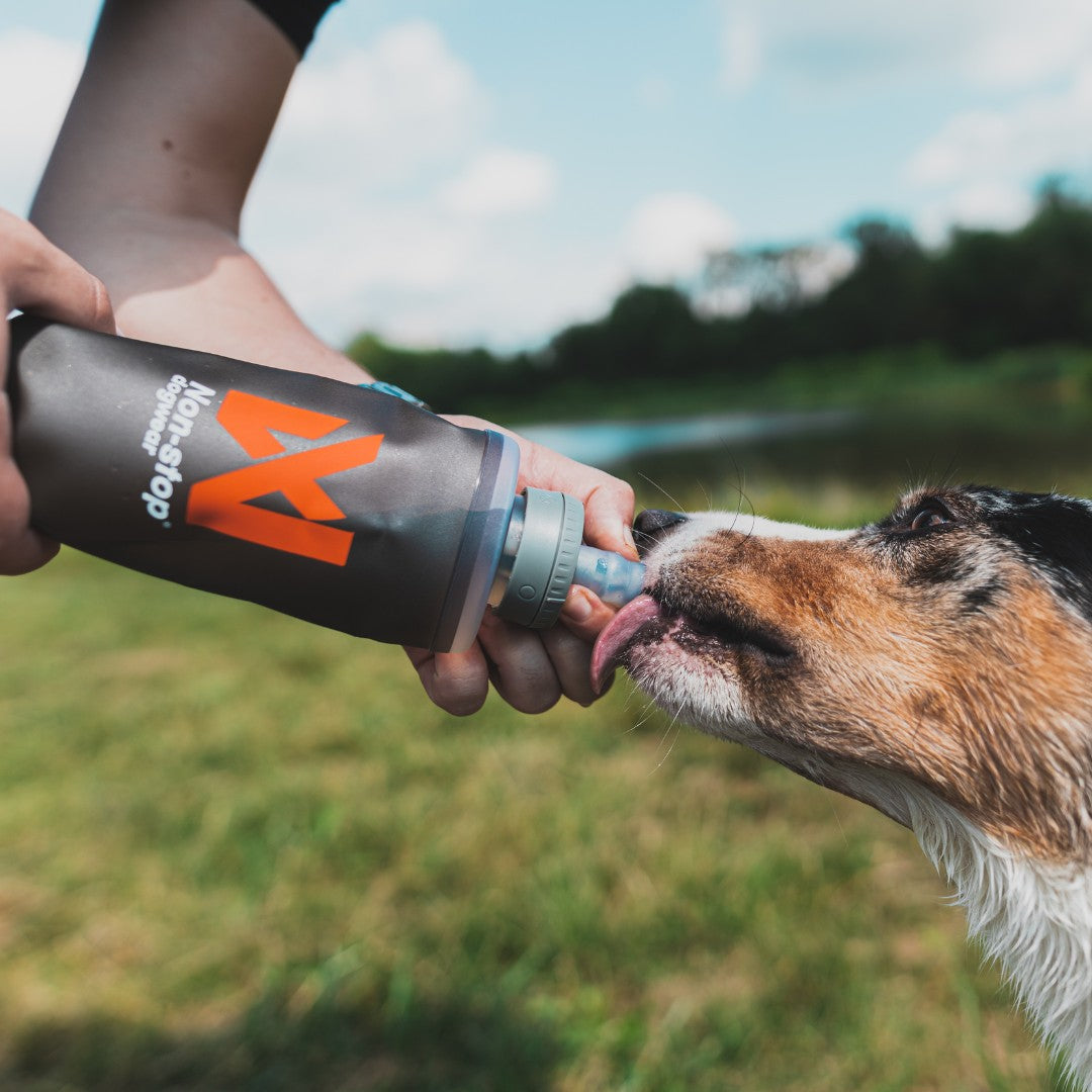 Softflask – Garrafa Flexível 500ml | Non-stop dogwear