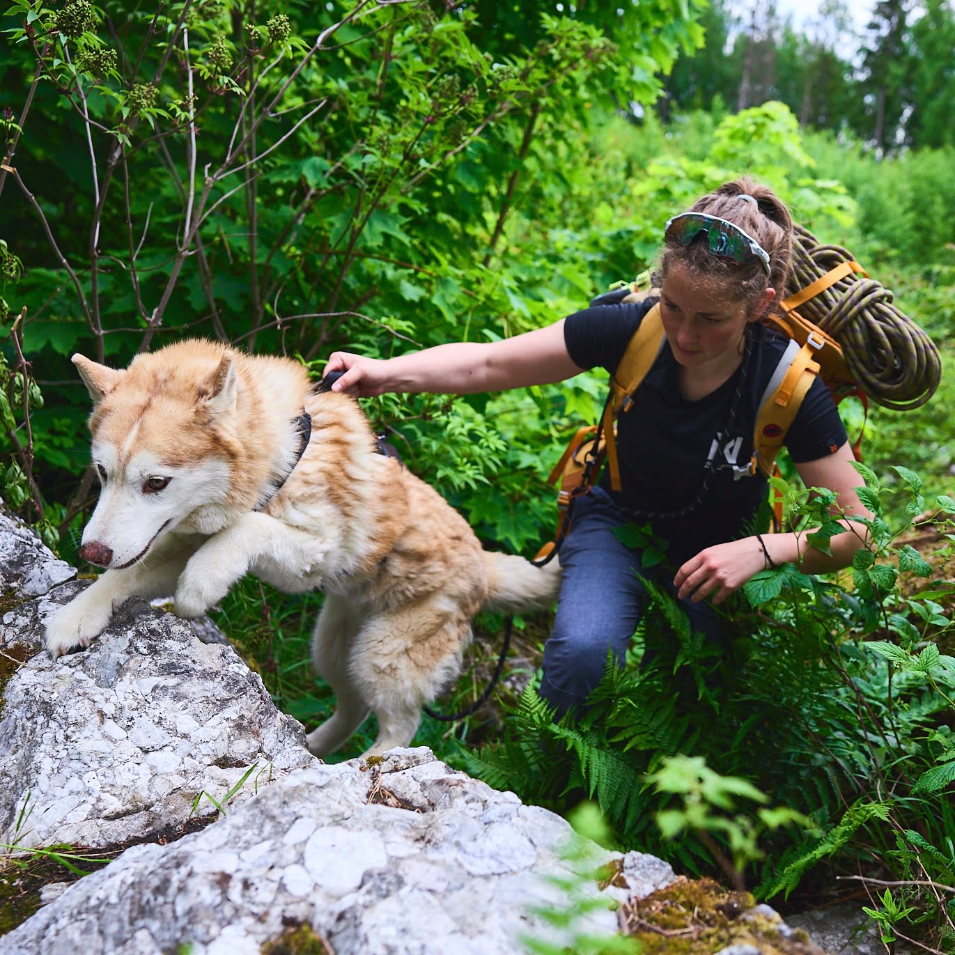 Rock Harness Long – Arnês Esportivo para Cães | Non-stop dogwear