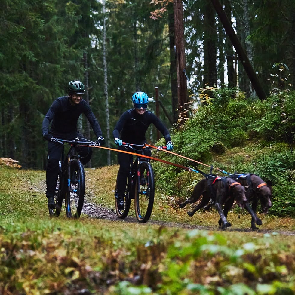 Bike Antenna – Acessório para Fixação de Guia em Bicicletas | Non-stop dogwear