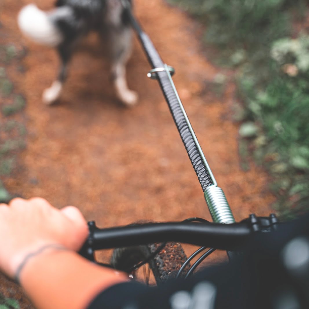 Bike Antenna – Acessório para Fixação de Guia em Bicicletas | Non-stop dogwear