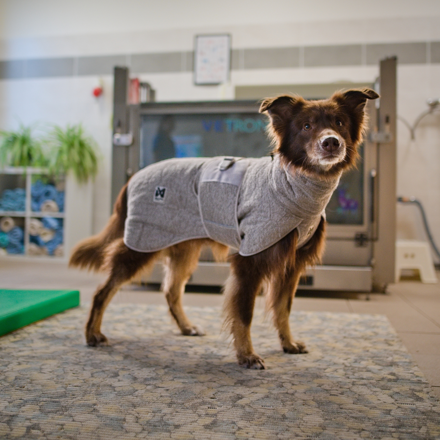 Drying coat – Roupão Secante para Cães | Non-stop dogwear