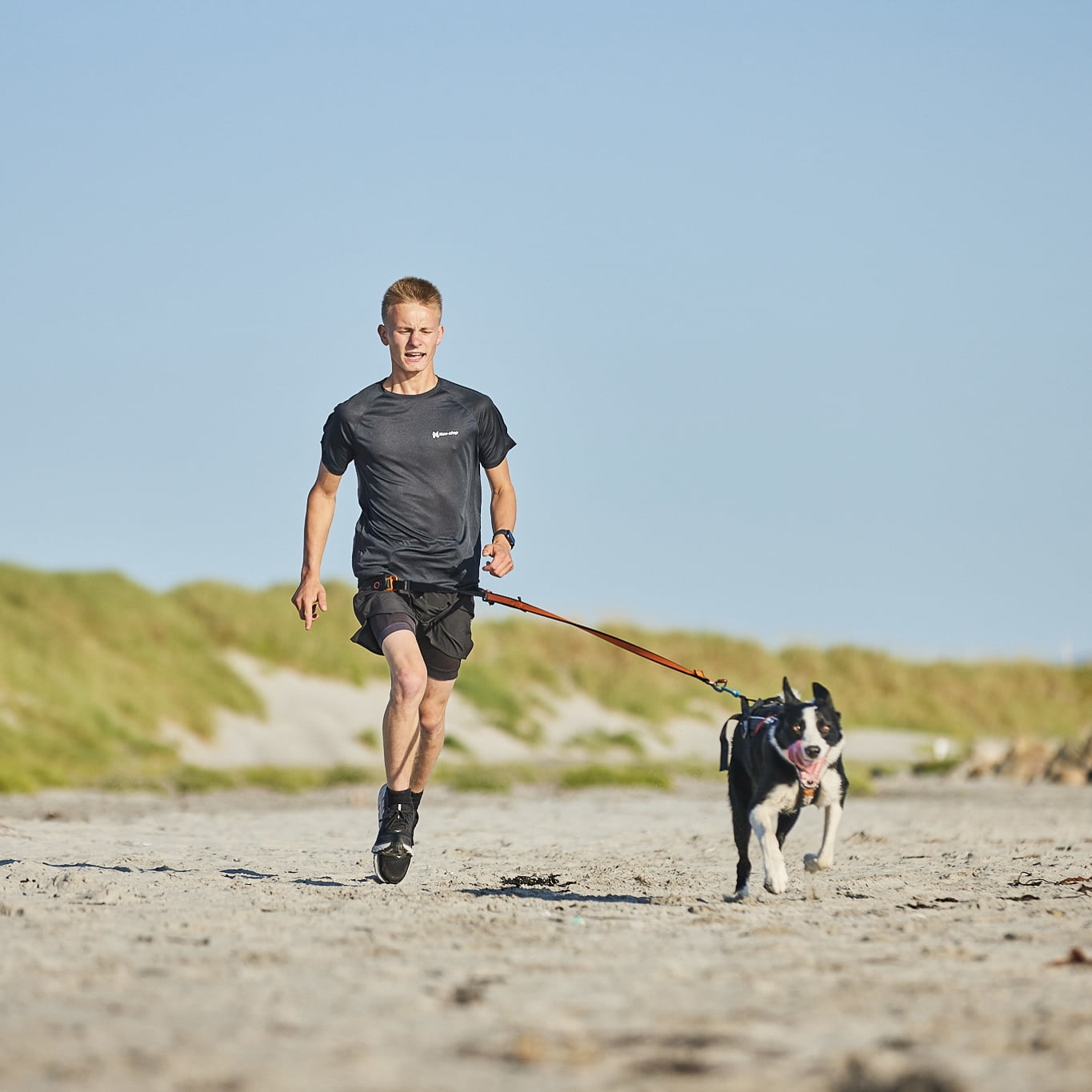 Bungee Leash – Guia Esportiva para Cães | Non-stop dogwear