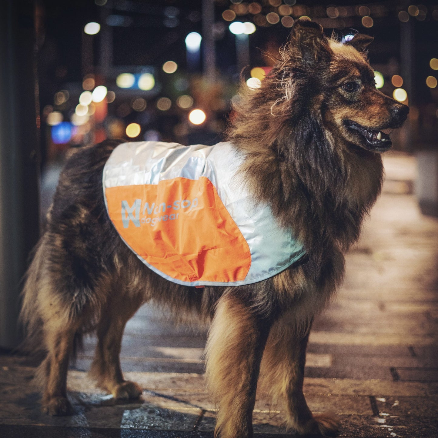 Reflection Blanket – Capa Refletiva para Cães | Non-stop dogwear