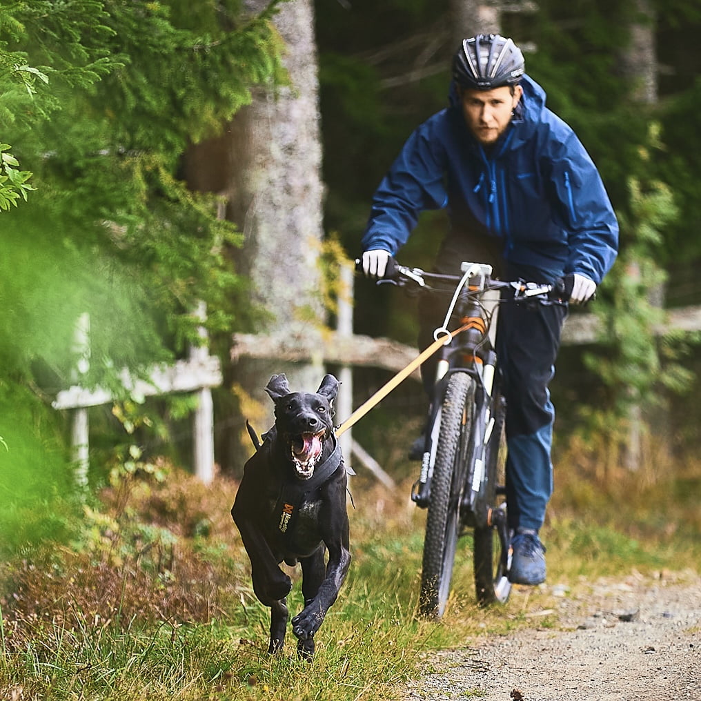 Bike Antenna KlickFix Package – Acessório para Fixação de Guia em Bicicletas | Non-stop dogwear