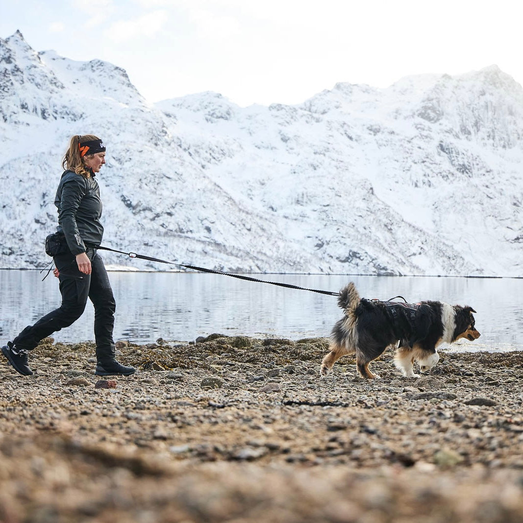 Trail Light Belt – Cinto para Trekking | Non-stop dogwear