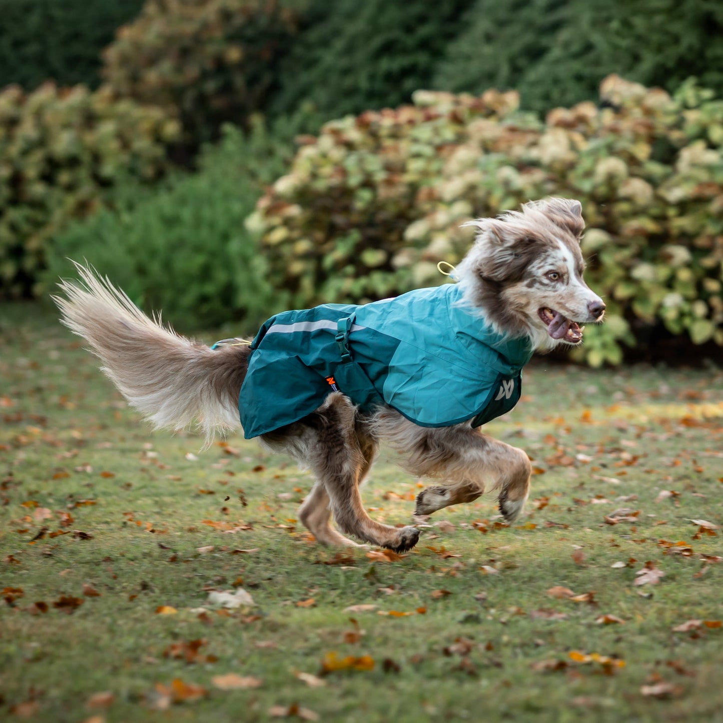 Fjord Raincoat 2.0 – Capa de Chuva para Cães | Non-stop dogwear