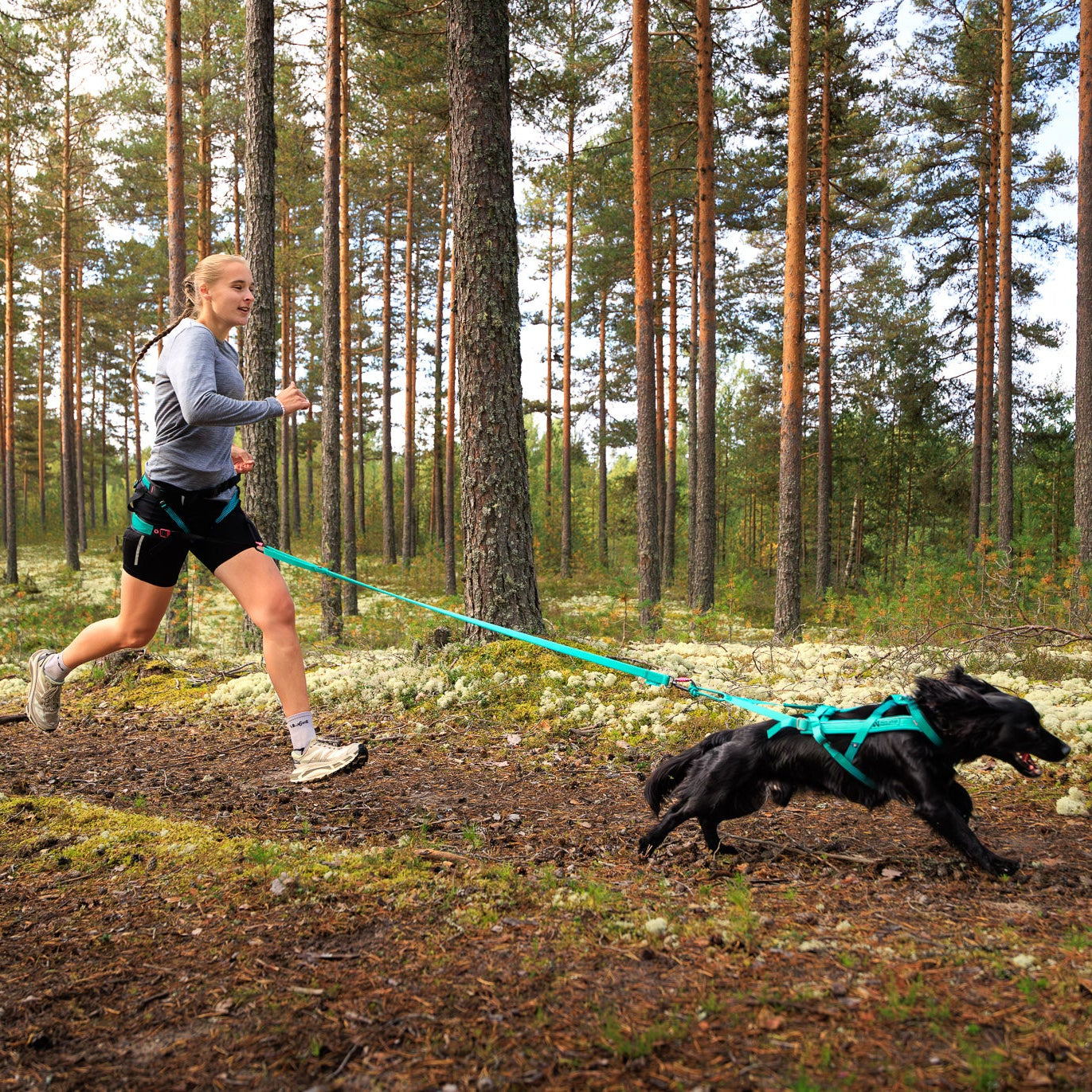 Bungee Leash – Guia Esportiva para Cães | Non-stop dogwear