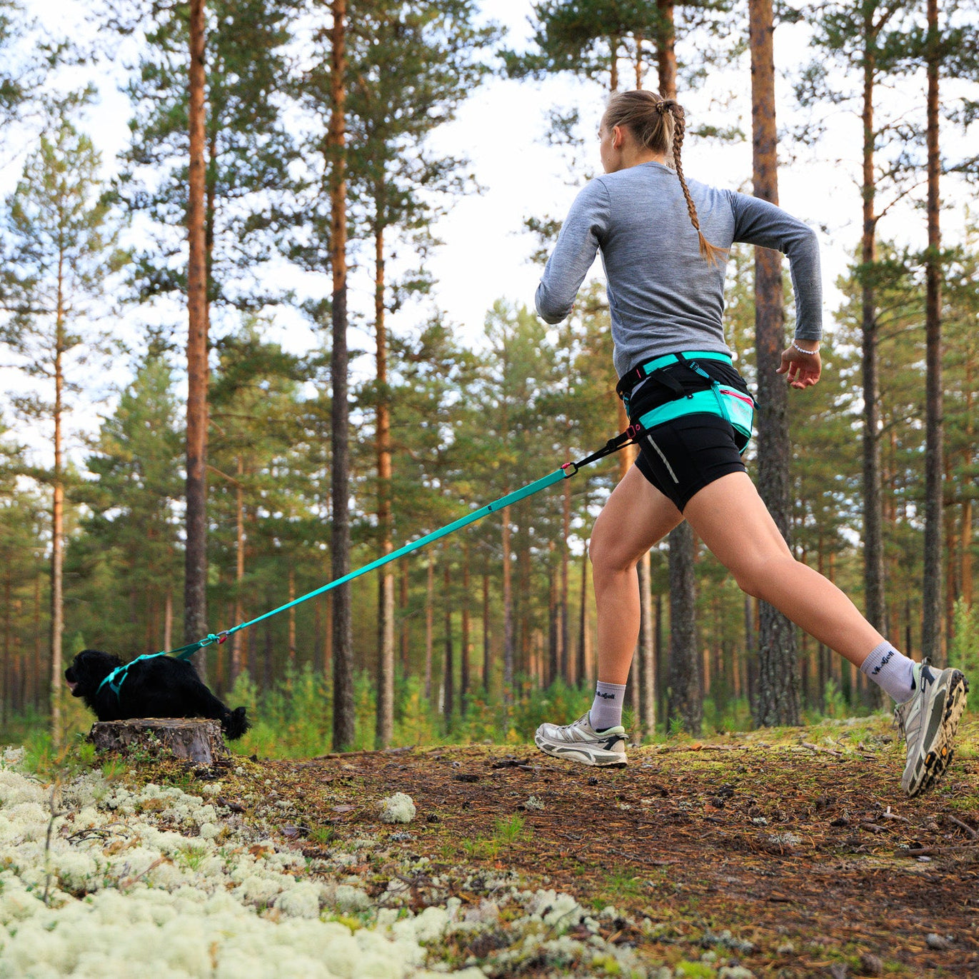 CaniX Belt 2.0 – Cinto Esportivo para Canicross | Non-stop dogwear