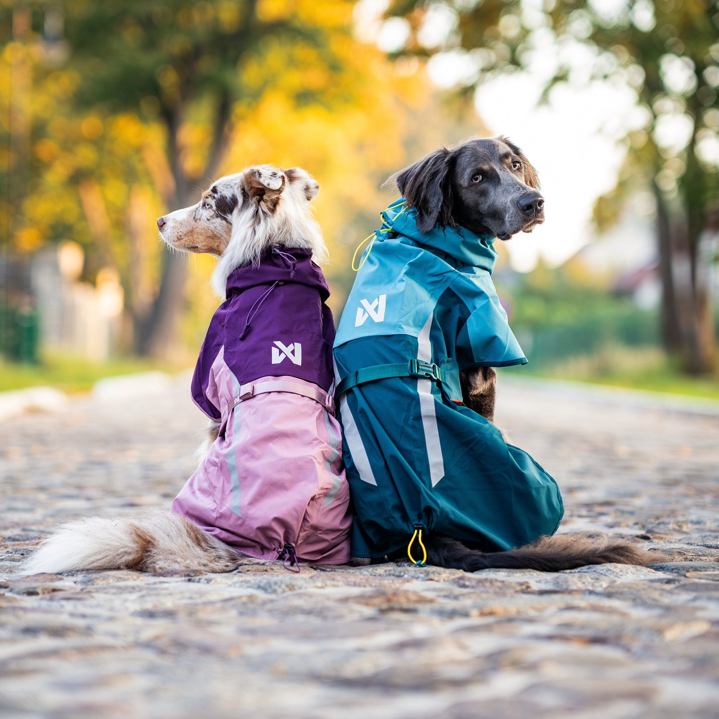 Fjord Raincoat 2.0 – Capa de Chuva para Cães | Non-stop dogwear