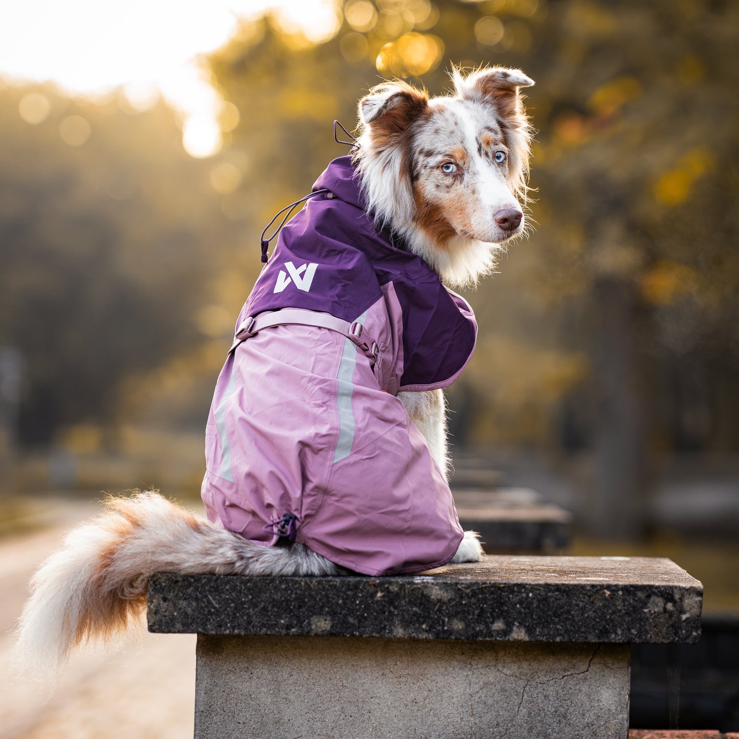 Fjord Raincoat 2.0 – Capa de Chuva para Cães | Non-stop dogwear