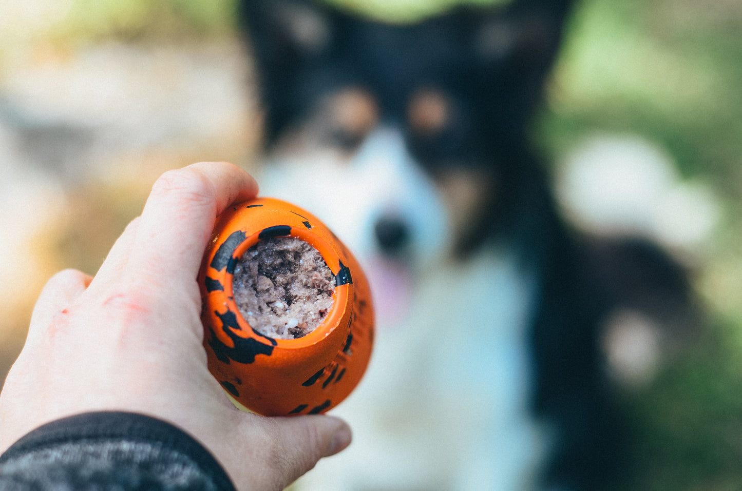 Brinquedo para Cães Throw Toy | Non-stop dogwear