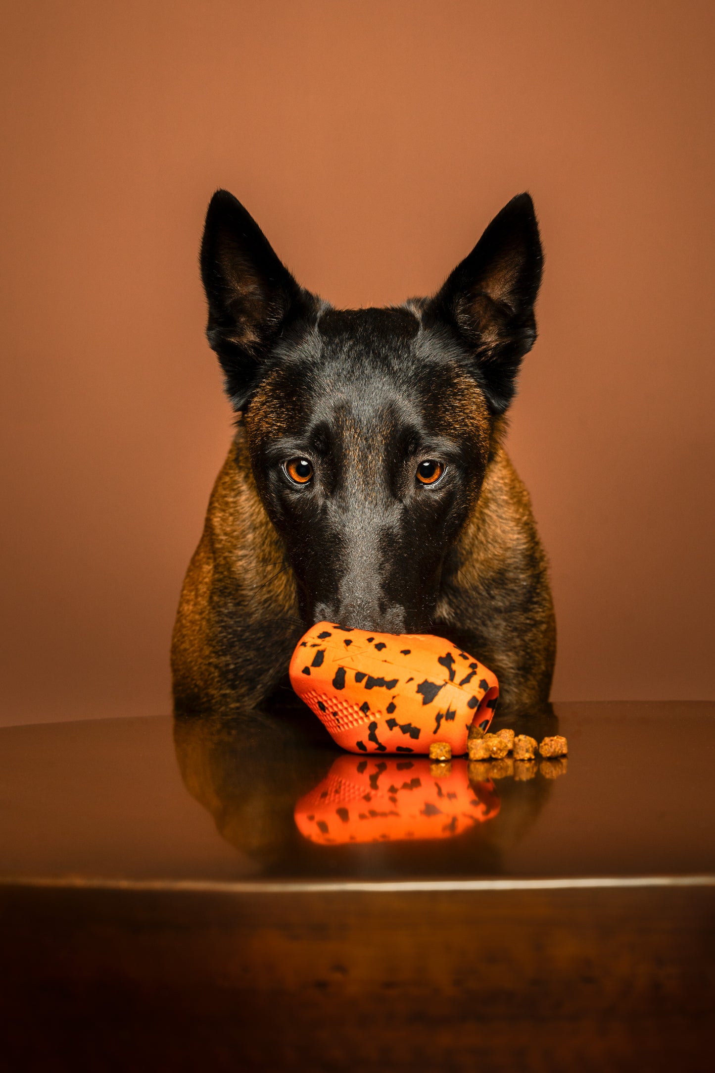 Brinquedo para Cães Throw Toy | Non-stop dogwear