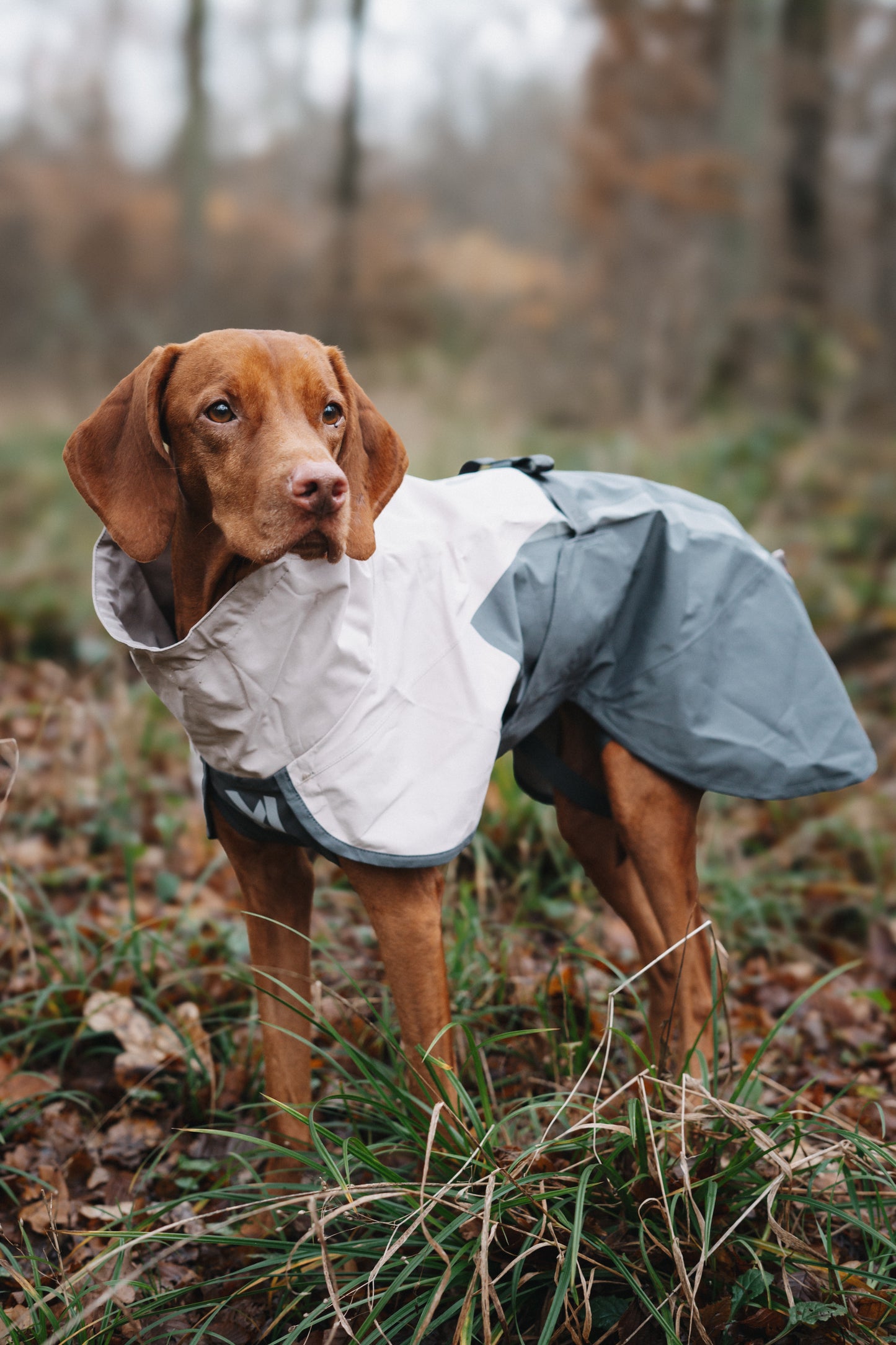 Fjord Raincoat 2.0 – Capa de Chuva para Cães | Non-stop dogwear
