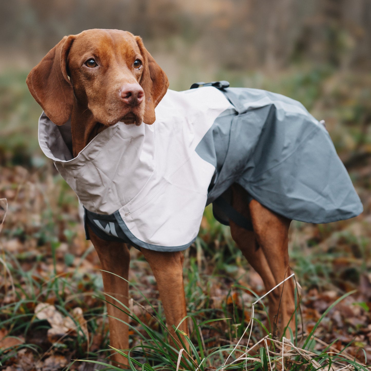 Fjord Raincoat 2.0 – Capa de Chuva para Cães | Non-stop dogwear