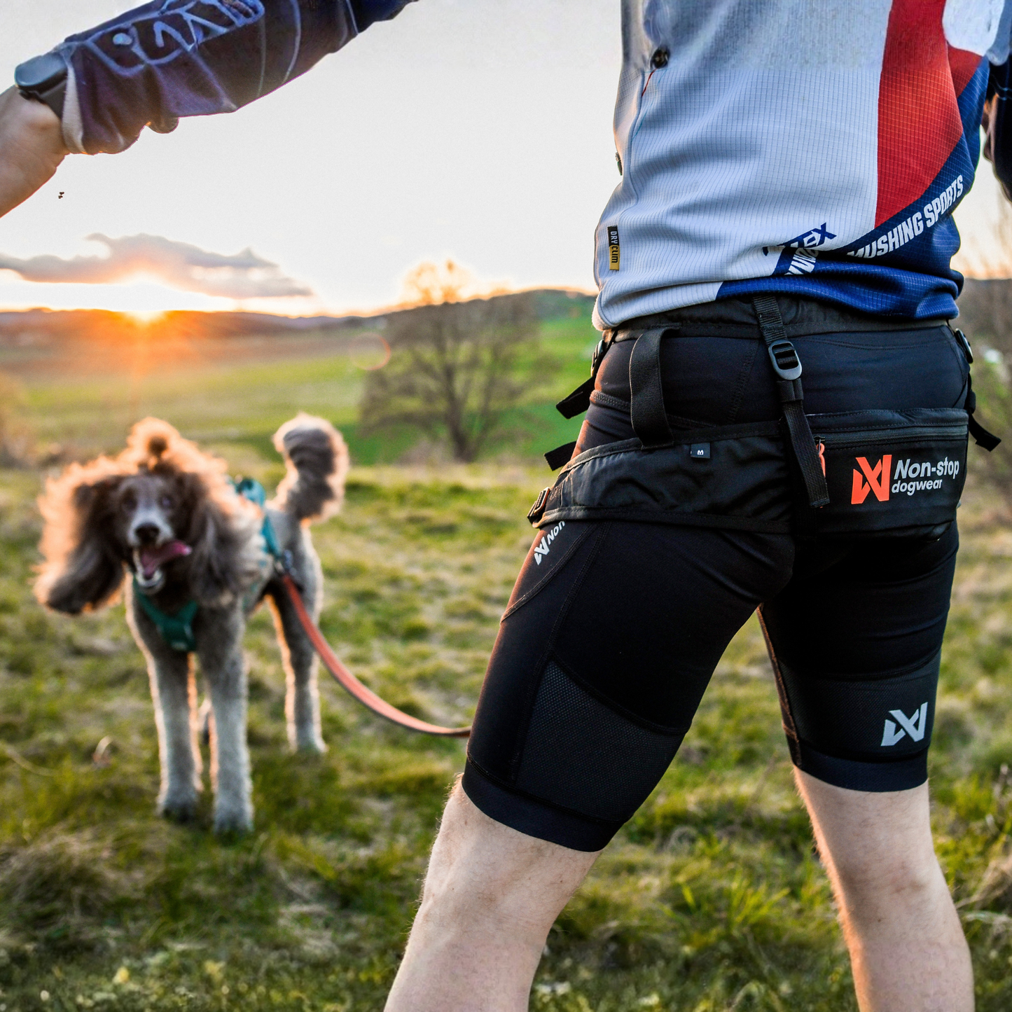 CaniX Belt 2.0 – Cinto Esportivo para Canicross | Non-stop dogwear