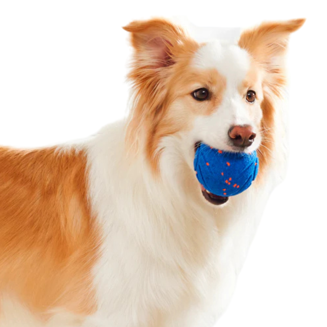 Capa externa substituível Wicked Ball Air | Cheerble