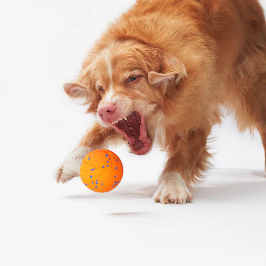 Capa externa substituível Wicked Ball Air | Cheerble