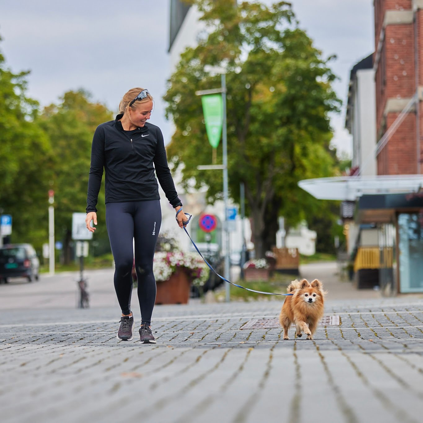 Move Leash – Guia para Cães | Non-stop dogwear