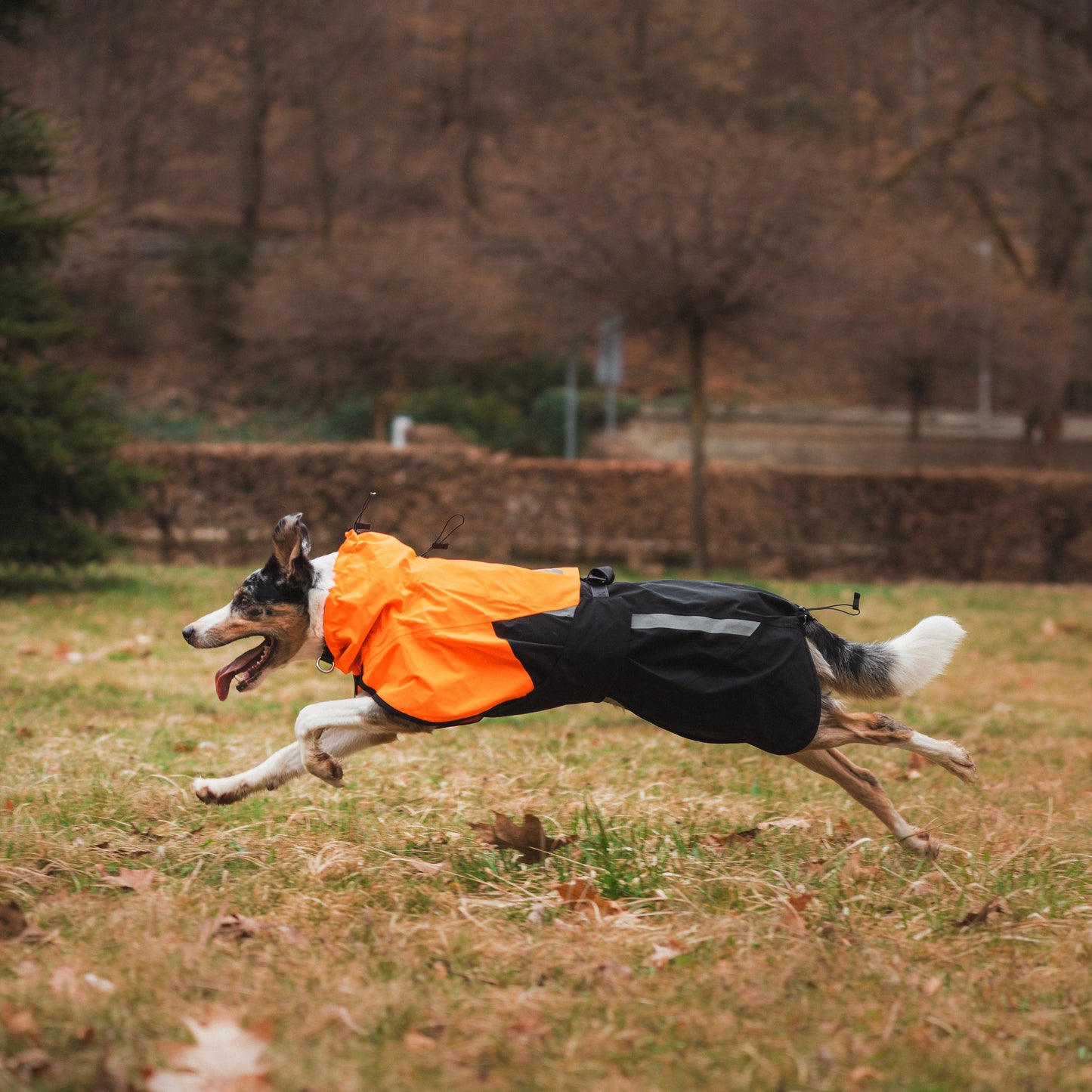 Fjord Raincoat 2.0 – Capa de Chuva para Cães | Non-stop dogwear