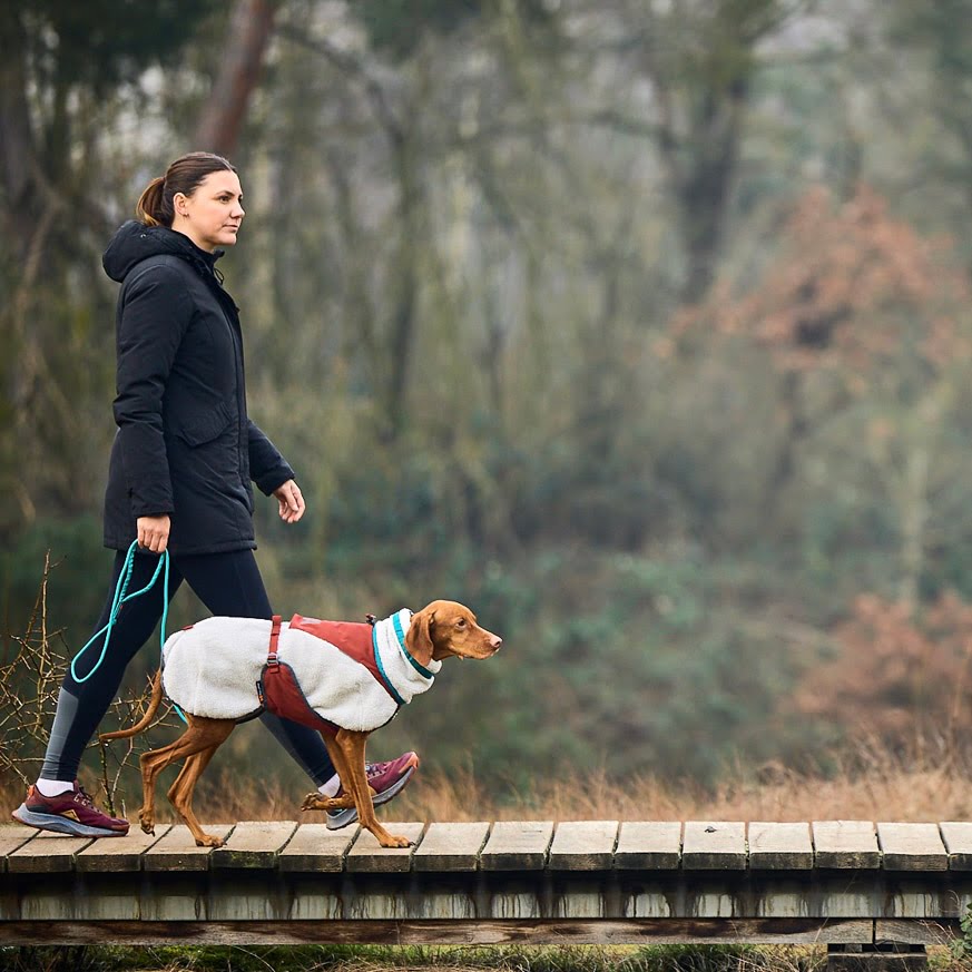 Trekking Rope Leash – Guia para Cães | Non-stop dogwear