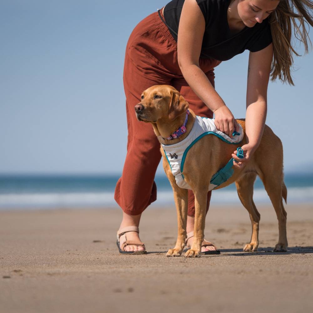Cooling Vest – Colete Resfriador para Cães | Non-stop dogwear
