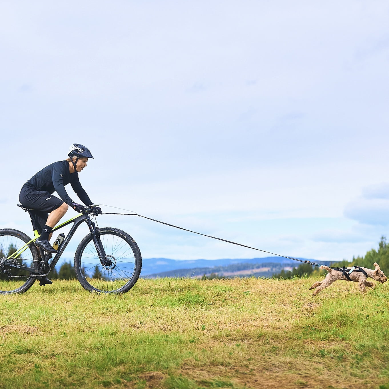 Bike Antenna – Acessório para Fixação de Guia em Bicicletas | Non-stop dogwear