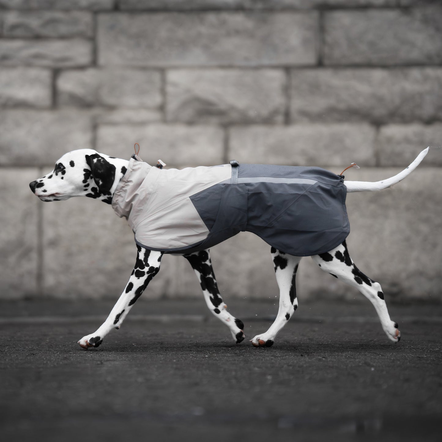 Fjord Raincoat 2.0 – Capa de Chuva para Cães | Non-stop dogwear