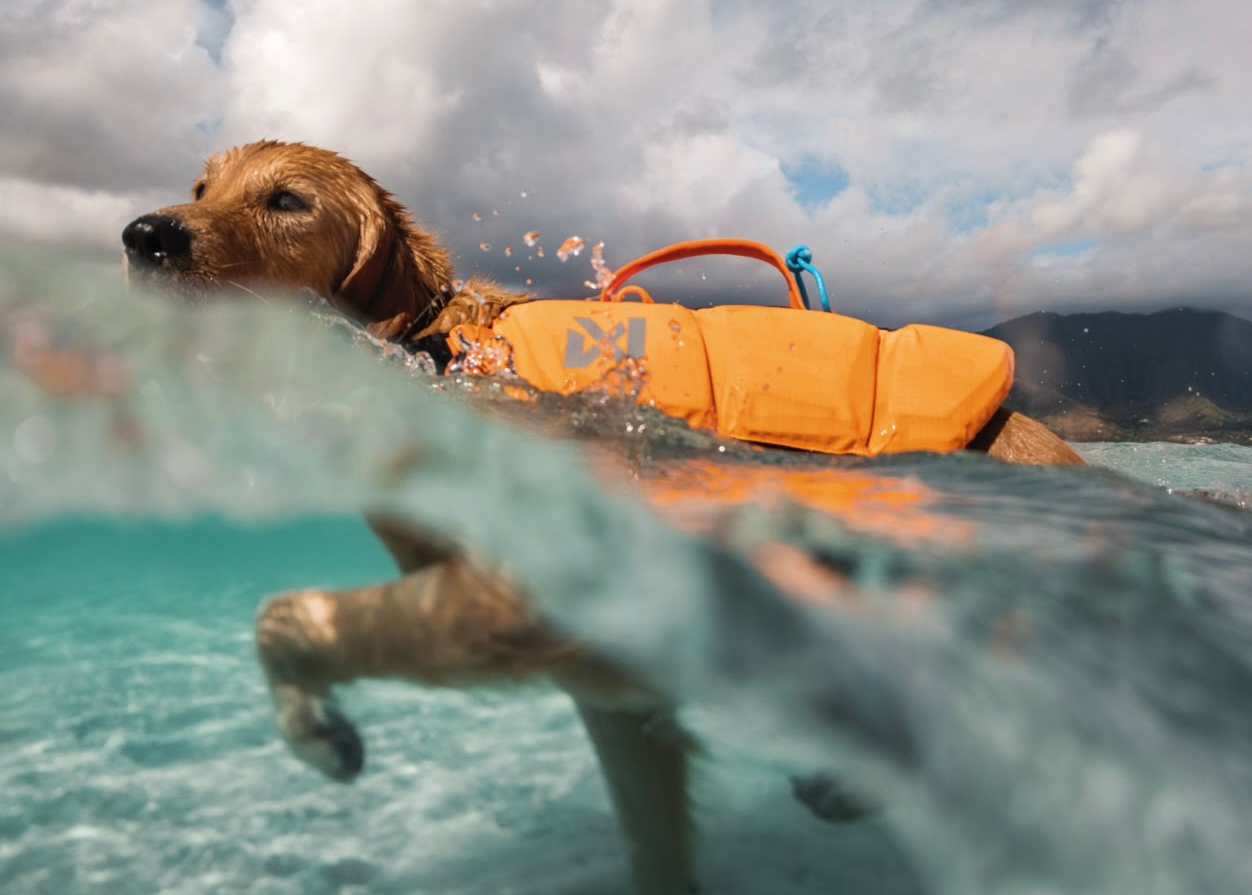 Colete salva-vidas para cães Protector Life Jacket Non-stop dogwear