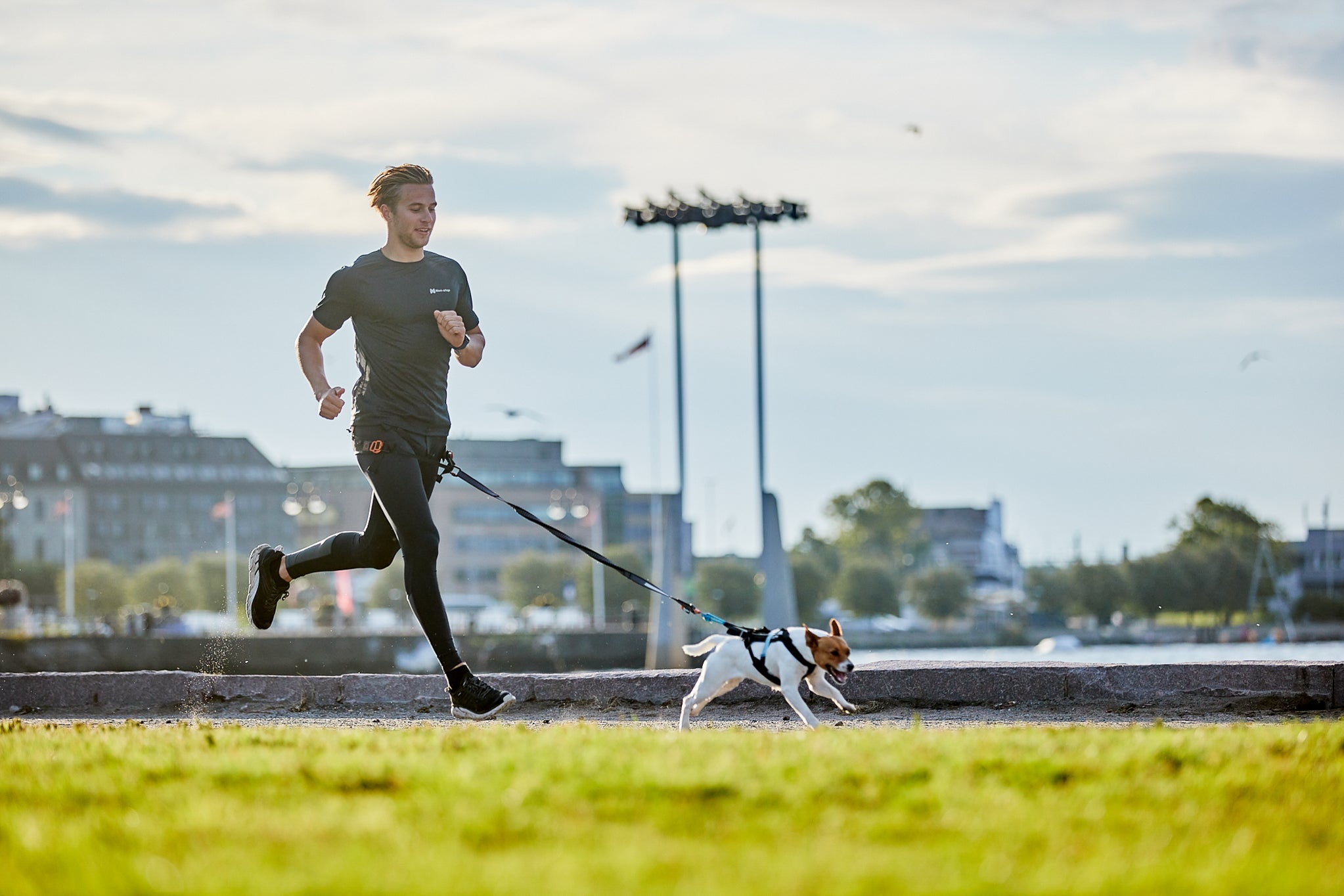 Equipamento para Canicross: Guia Completo para Praticar com Segurança e Performance