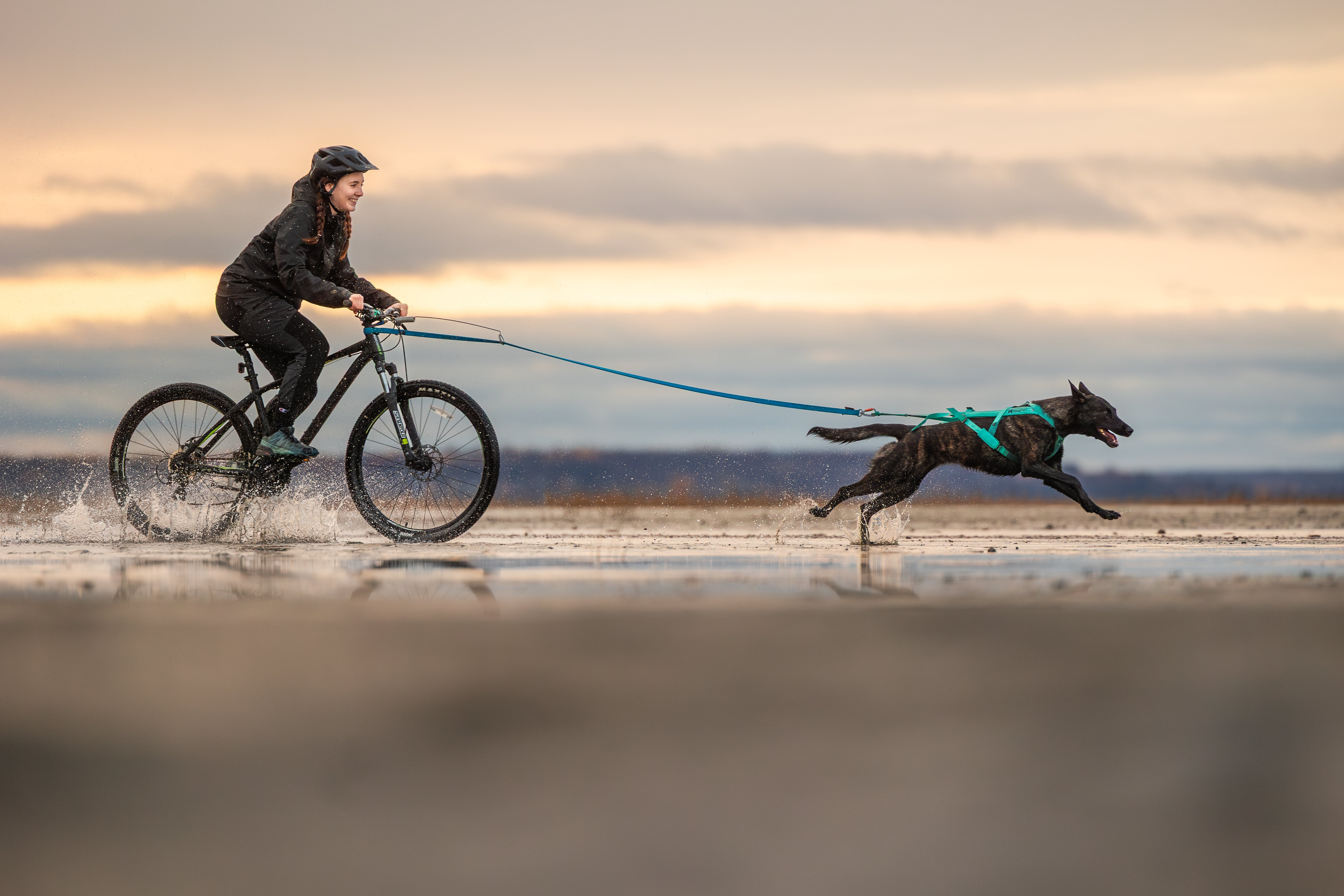 Bikejoring
