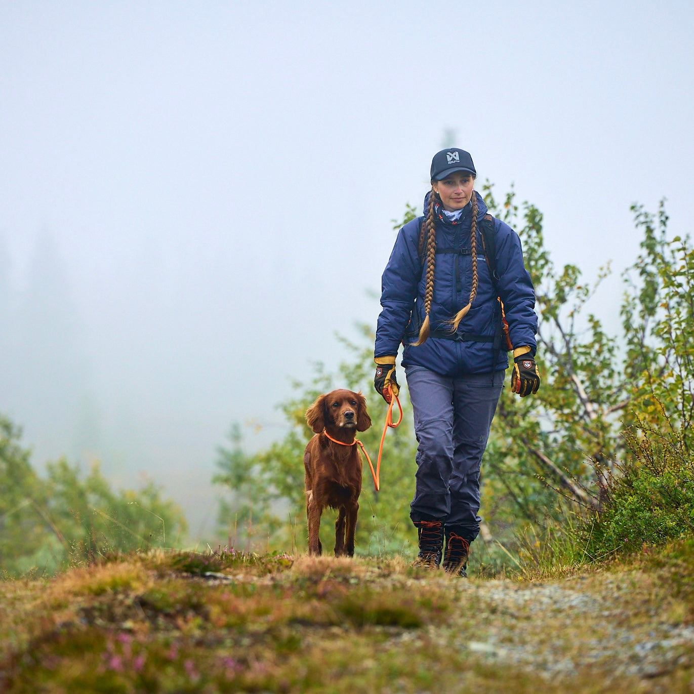 Retriever Leash – Guia Unificada para Cães | Non-stop dogwear