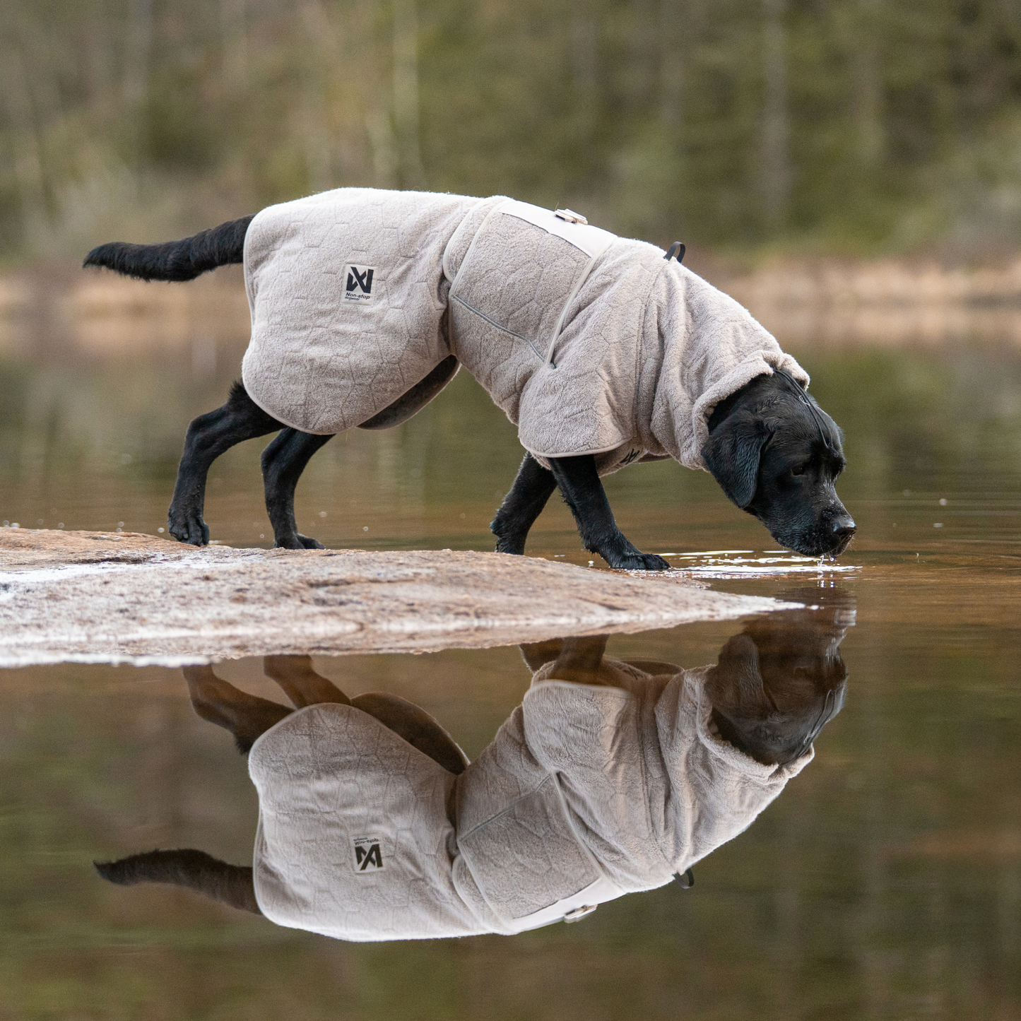Drying coat – Roupão Secante para Cães | Non-stop dogwear