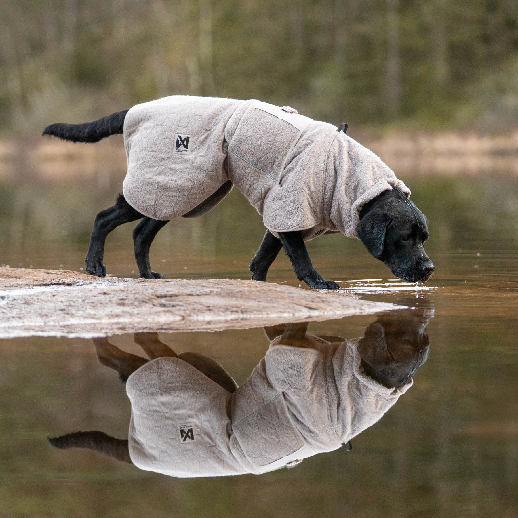 Drying coat – Roupão Secante para Cães | Non-stop dogwear