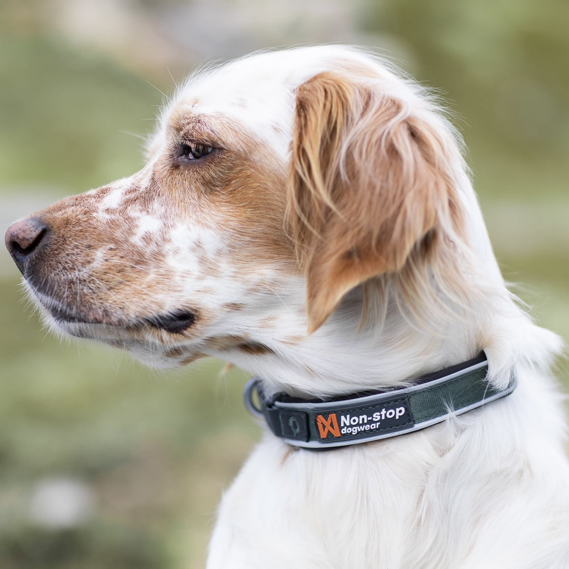Roam Collar – Coleira para Cães | Non-stop dogwear