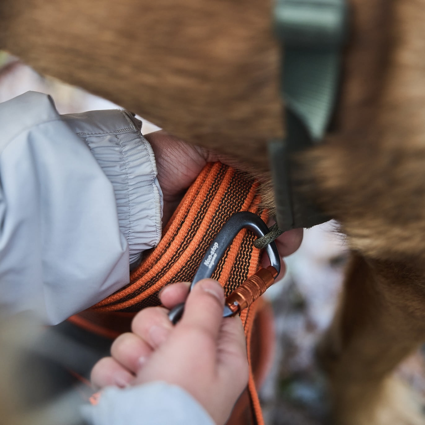 Friction Long Line – Guia para Cães (Laranja) | Non-stop dogwear