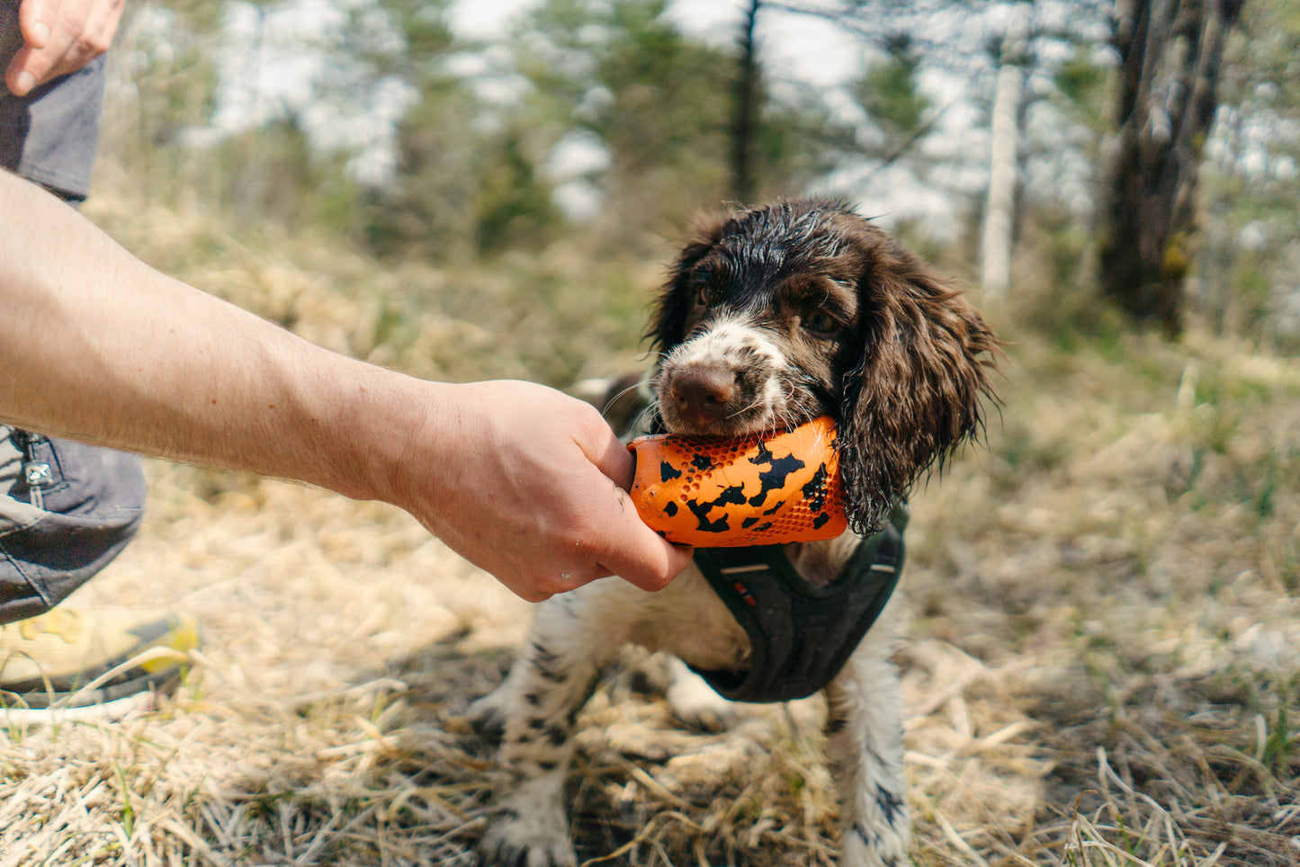 Brinquedo para Cães Throw Toy | Non-stop dogwear