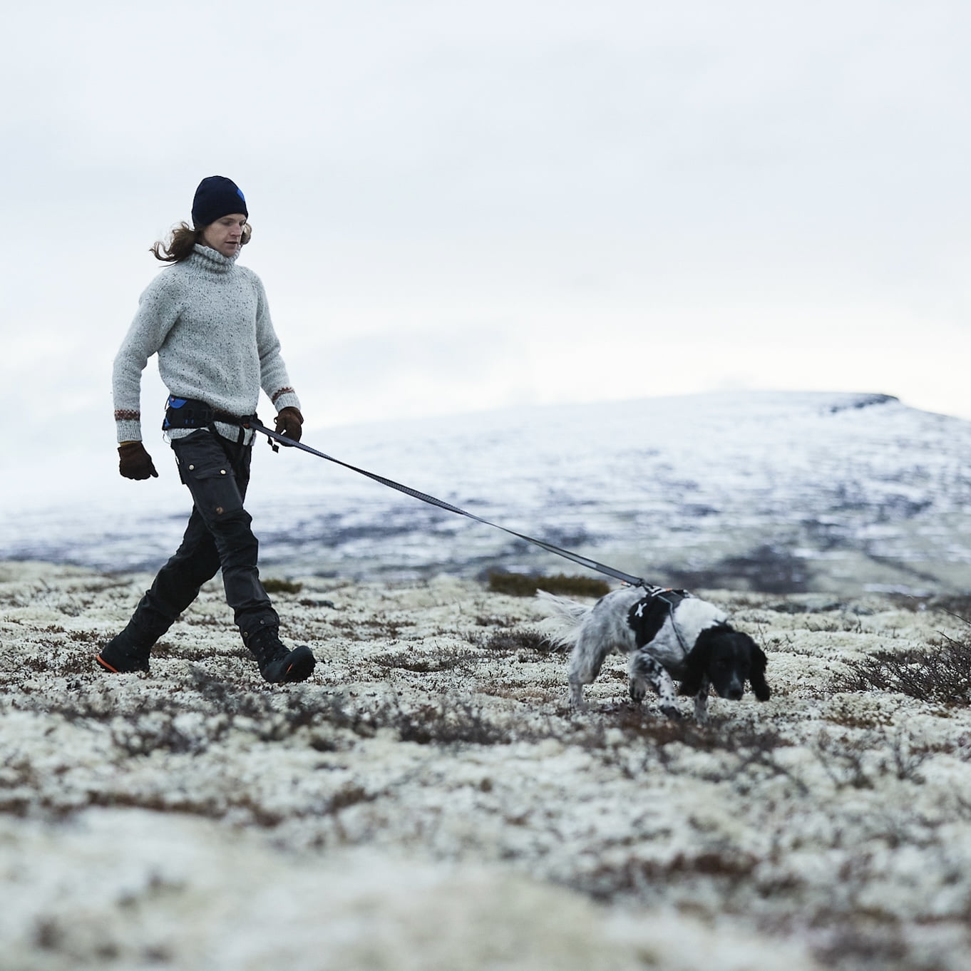 Touring Bungee Leash – Guia Esportiva para Cães | Non-stop dogwear