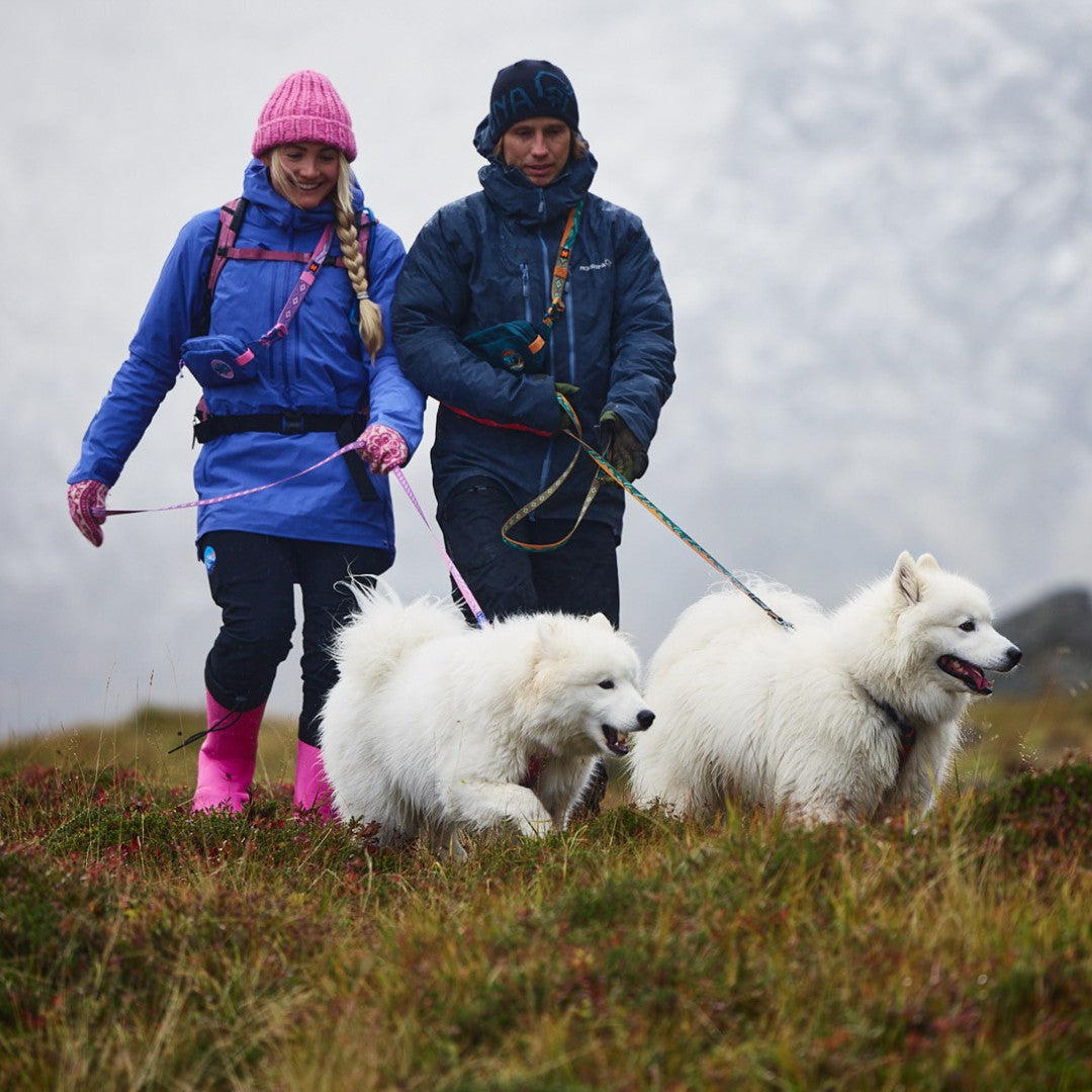 Guia Non-stop dogwear Trail quest Rachel Pohl Edition