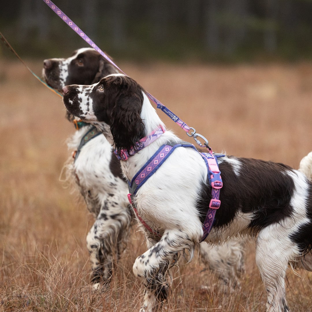 Peitoral Line 5.0 Rachel Pohl Edition | Non-stop dogwear