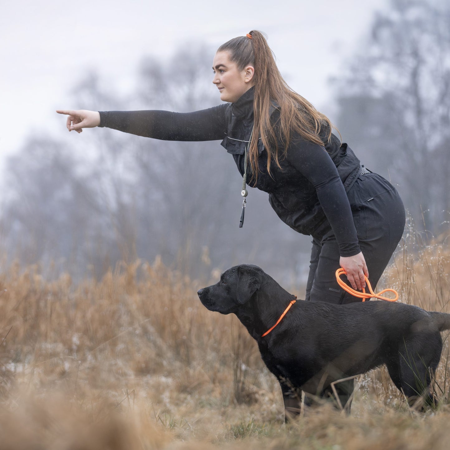 Retriever Leash – Guia Unificada para Cães | Non-stop dogwear