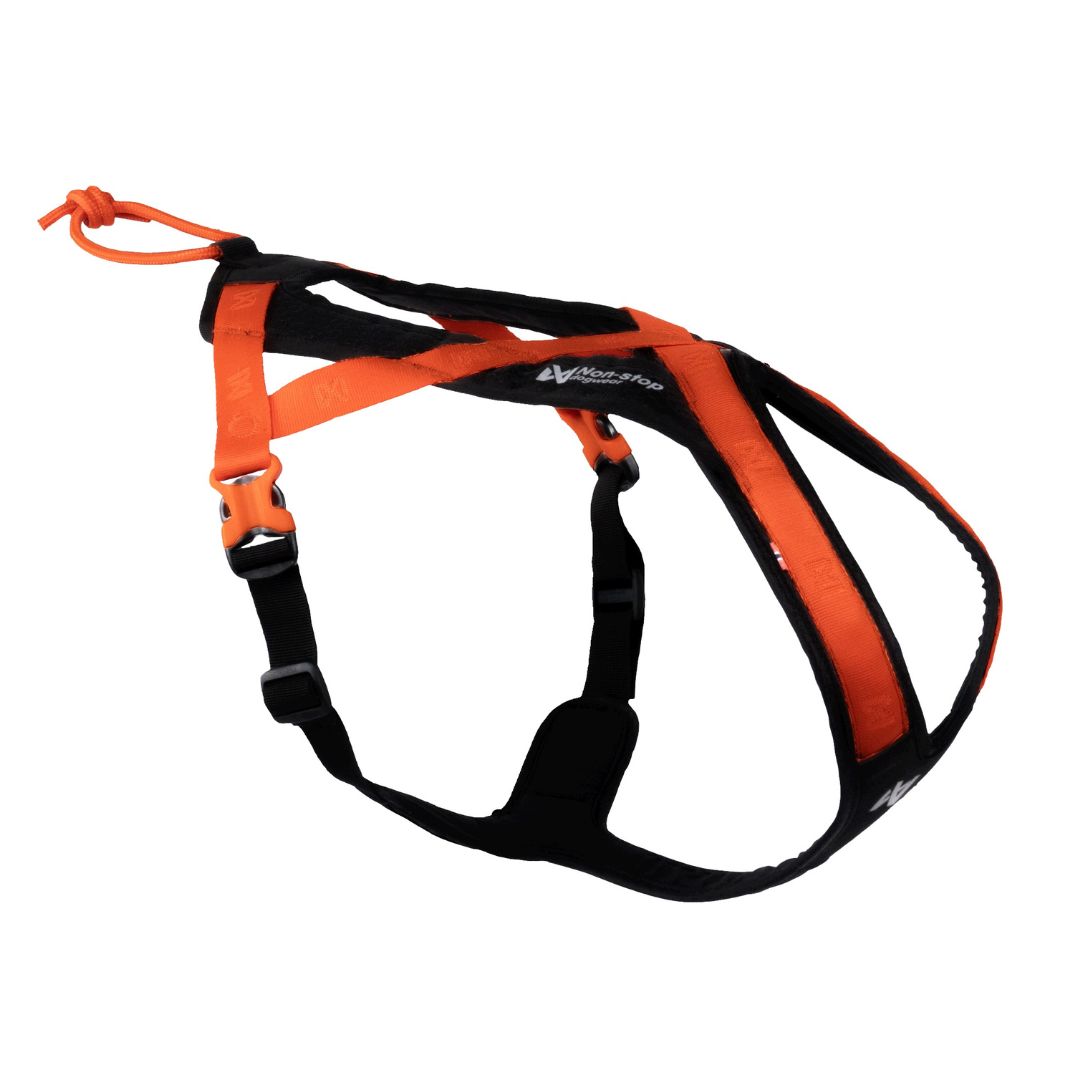Rush Harness – Arnês para Canicross | Non-stop dogwear