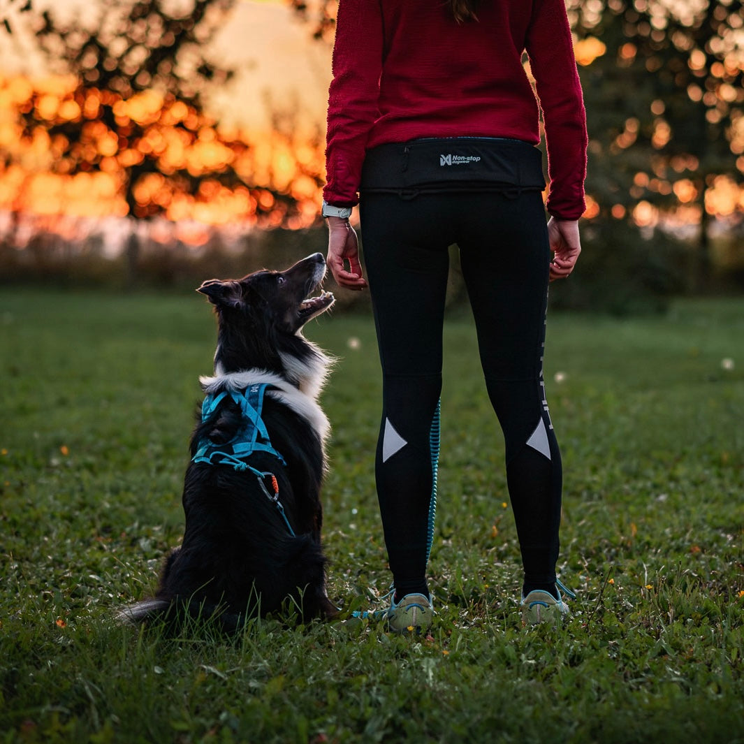Rush Harness – Arnês para Canicross | Non-stop dogwear