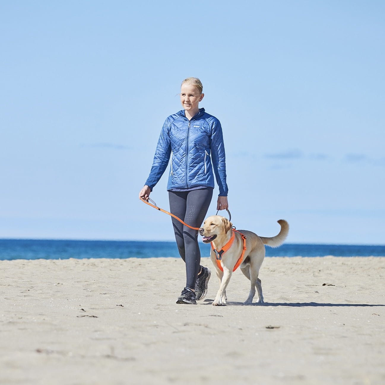 Move Leash – Guia para Cães | Non-stop dogwear