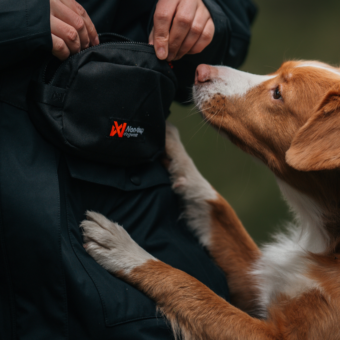 Pochete Trail Quest Fanny Pack | Non-stop dogwear