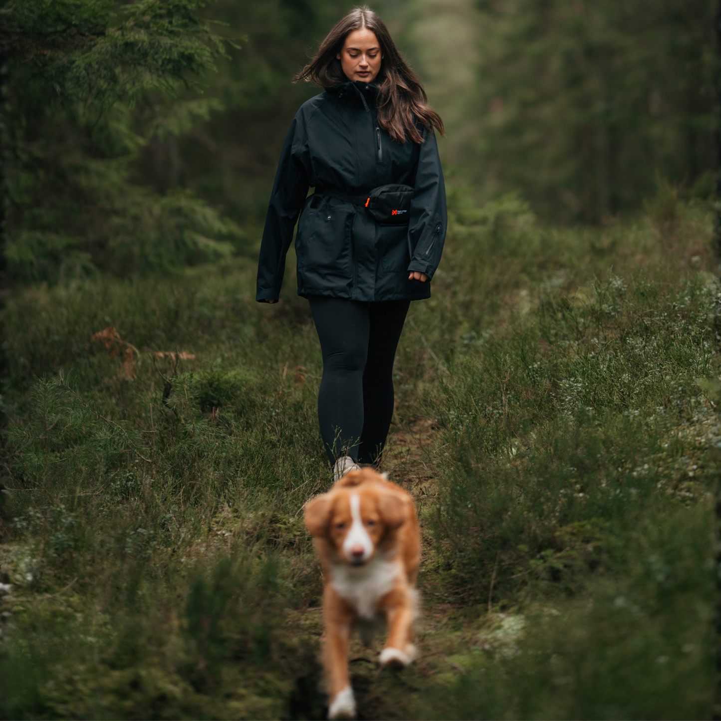 Pochete Trail Quest Fanny Pack | Non-stop dogwear