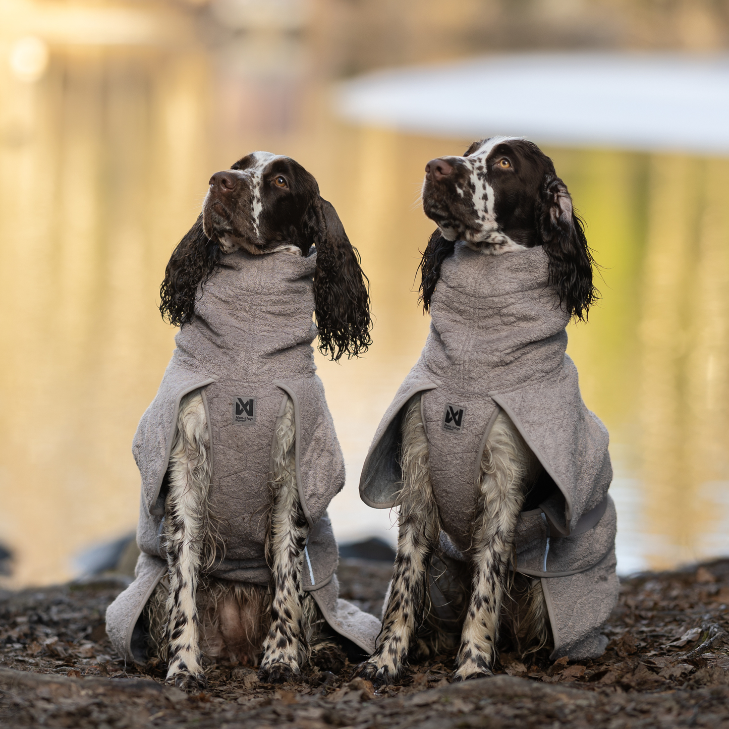 Drying coat – Roupão Secante para Cães | Non-stop dogwear