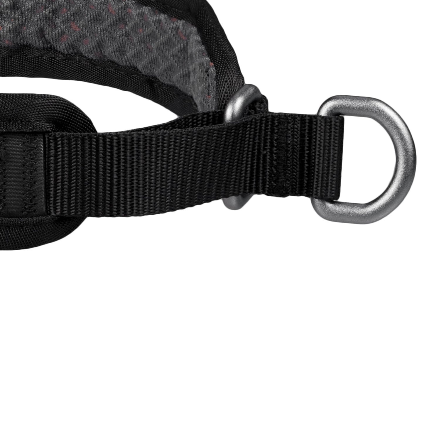 Rock Collar 3.0 – Coleira Esportiva para Cães | Non-stop dogwear